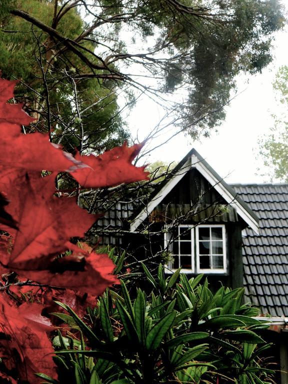 Arden Country House Waitati ภายนอก รูปภาพ